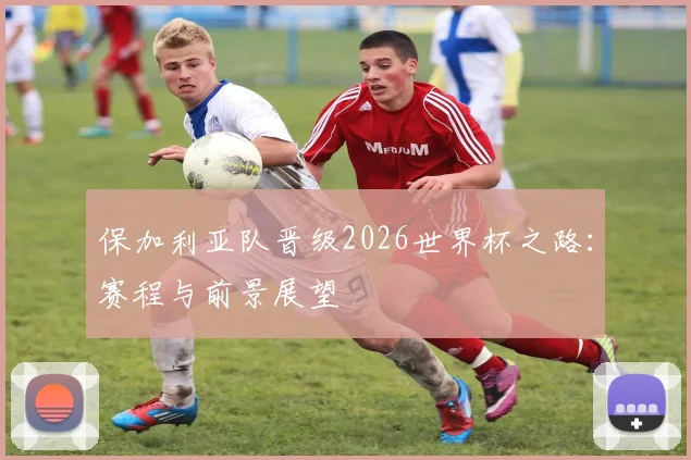 保加利亚队晋级2026世界杯之路：赛程与前景展望