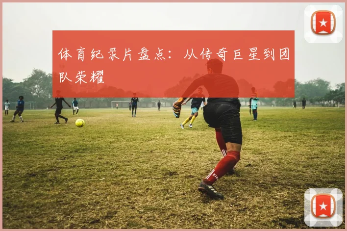 体育纪录片盘点：从传奇巨星到团队荣耀