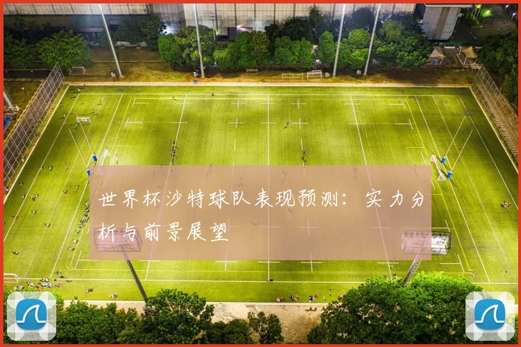世界杯沙特球队表现预测:实力分析与前景展望